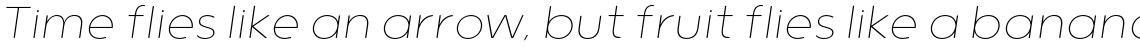 Grold Rounded Thin Italic