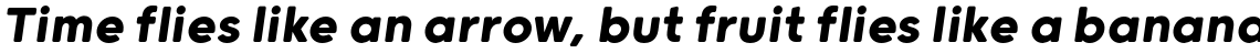 Grold Rounded Bold Italic