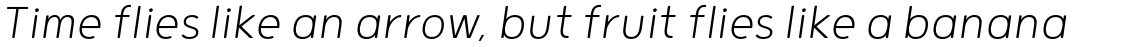 Grold Rounded Slim Extra Light Italic