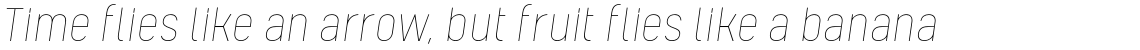 Kelpt Sans B1 Thin Italic