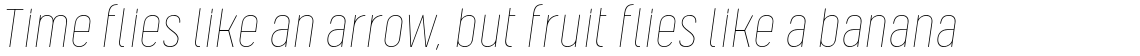 Kelpt Sans B2 Thin Italic