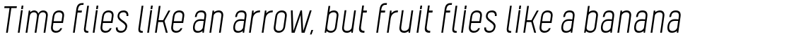 Kelpt Sans B2 Light Italic