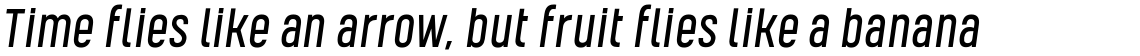Kelpt Sans B2 Italic