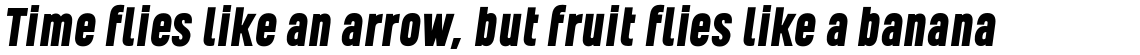 Kelpt Sans B2 Black Italic