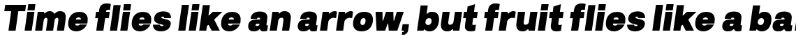 Prayuth Extra Black Italic