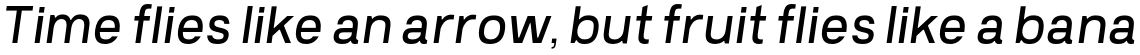 Prayuth Slim Italic