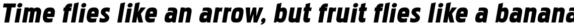 Pakenham Black Italic