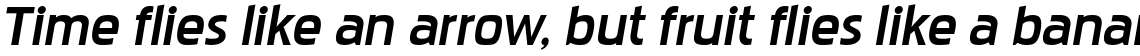 Pakenham Xp Bold Italic