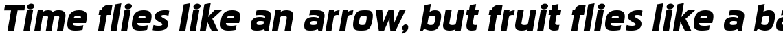 Pakenham Xp Black Italic