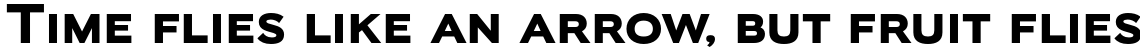 Biondi Sans Bold