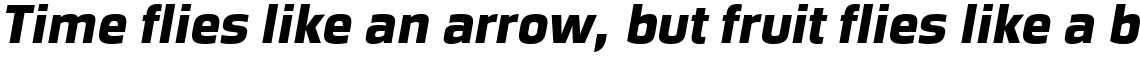 Great Escape Black Italic