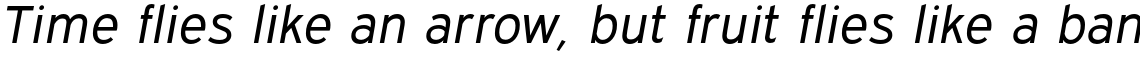 Expressway Book Italic