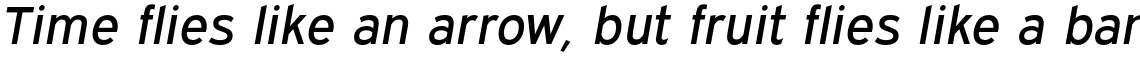 Expressway Regular Italic