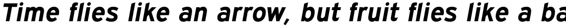 Expressway Bold Italic