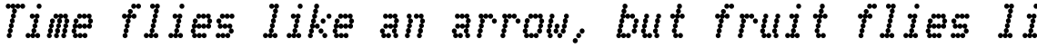 Telidon Heavy Italic