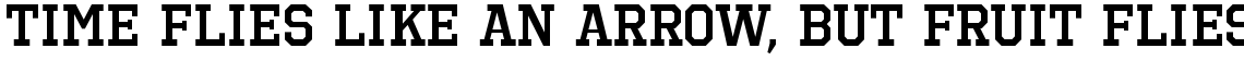 Octin Sports 