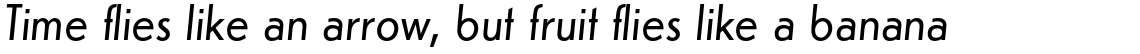 Erbar Standard Book Italic