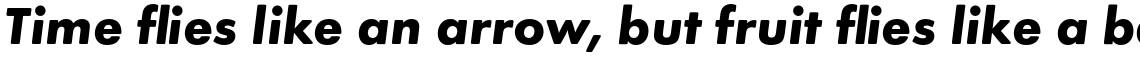 Futura Round Bold Oblique
