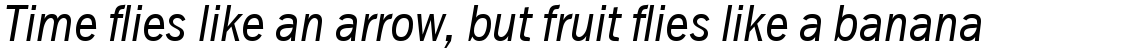 Franklin Gothic Condensed Book Italic