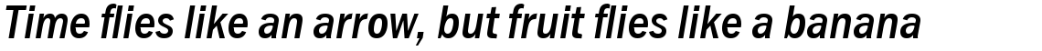 Franklin Gothic Condensed Medium Italic