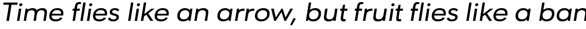 URW Geometric Extended