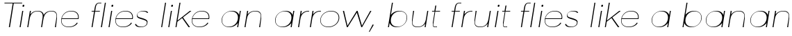 URW Geometric Extended Thin Oblique
