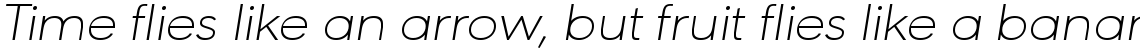 URW Geometric Extended ExtraLight Oblique
