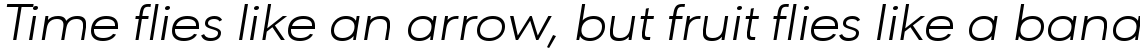 URW Geometric Extended Light Oblique