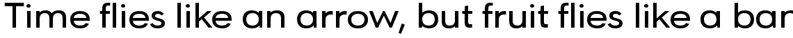 URW Geometric Extended Medium