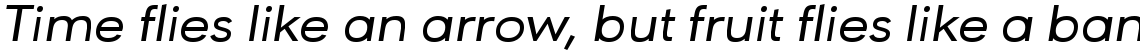 URW Geometric Extended Medium Oblique