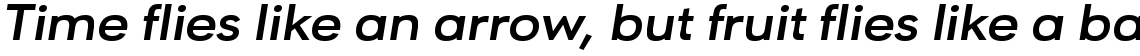 URW Geometric Extended Bold Oblique