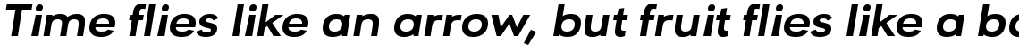 URW Geometric Extended ExtraBold Oblique