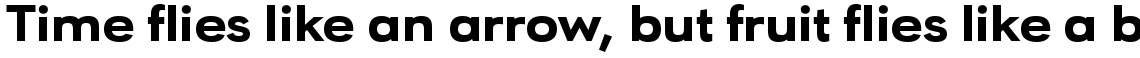 URW Geometric Extended Heavy