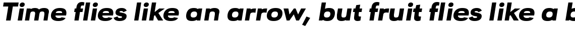 URW Geometric Extended Black Oblique