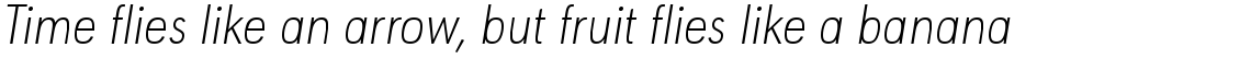 URW Geometric Condensed ExtraLight Oblique