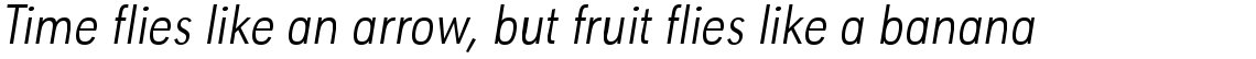 URW Geometric Condensed Light Oblique