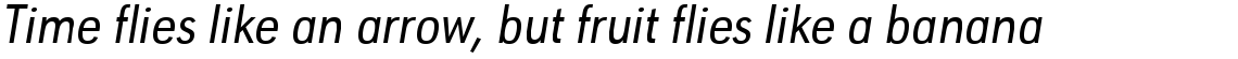 URW Geometric Condensed Regular Oblique