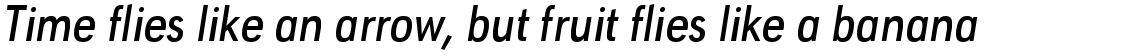 URW Geometric Condensed Medium Oblique