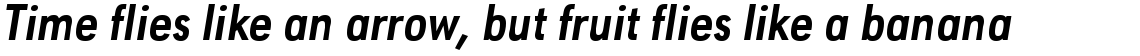 URW Geometric Condensed Bold Oblique