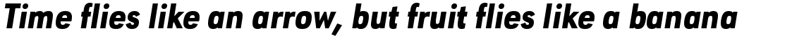 URW Geometric Condensed Heavy Oblique