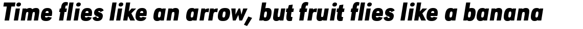 URW Geometric Condensed Black Oblique