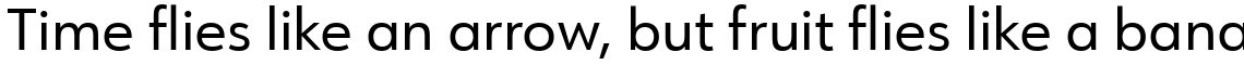 URW Form Regular