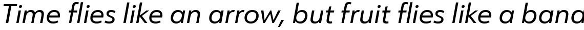 URW Form Regular Italic