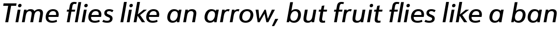URW Form Medium Italic