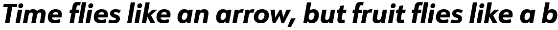 URW Form ExtraBold Italic