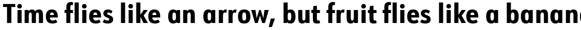 URW Form Condensed ExtraBold