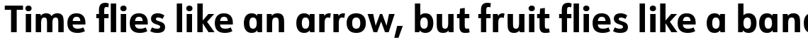 URW Form SemiCondensed Bold