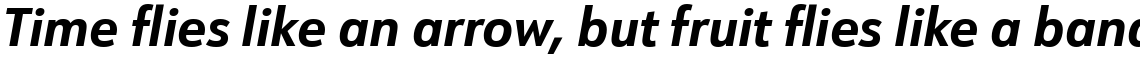 URW Form SemiCondensed Bold Italic