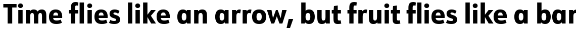 URW Form SemiCondensed ExtraBold