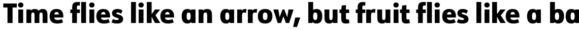 URW Form SemiCondensed Heavy